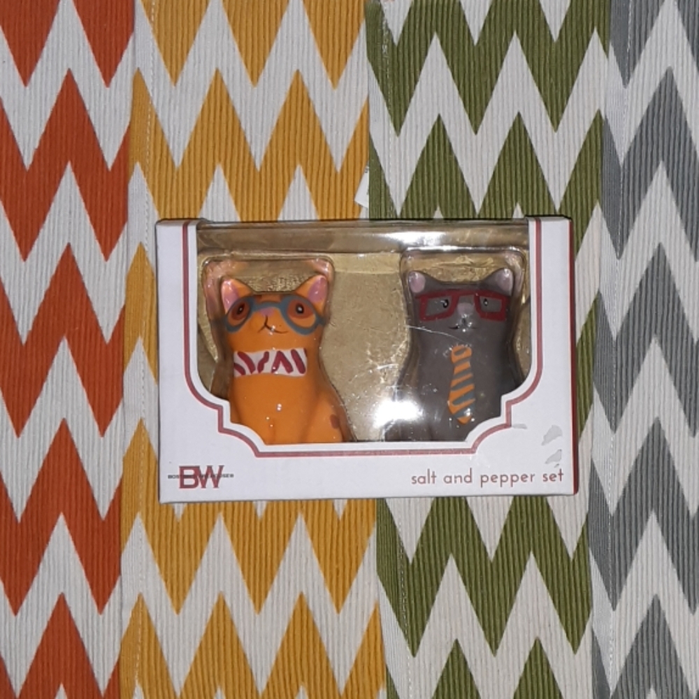 New Hipster Cat Salt&Pepper shakers &4 placemats